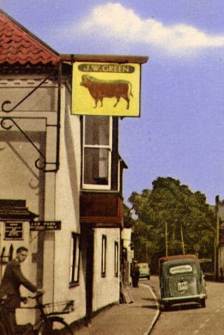 Bott_postcard_DB3_crop1 The Bull 1950.