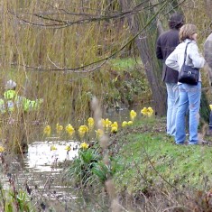 OLYMPUS DIGITAL CAMERA The Duck Race in full flight (as it were).