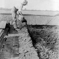 Picture 10. The top of the 'clamp' was covered with old, burnt brick, turf, or 'pug' to conserve heat