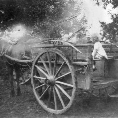Wendy or Gina Topps on a cart in Daybell's farm yard Bottesford