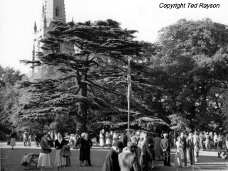 Church_Fete_55_cedar_copyright Church Fete in the Rectory grounds