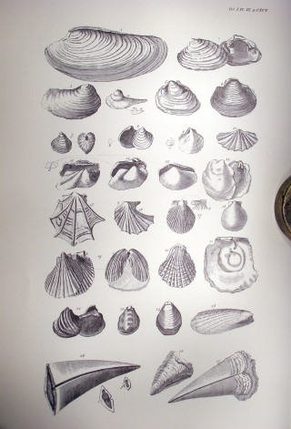 OLYMPUS DIGITAL CAMERA Plate IX from Nichols History and Antiquities of the County of Leicestershire, Vol.IV Part II, 1811