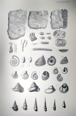 OLYMPUS DIGITAL CAMERA Plate VIII from Nichols History and Antiquities of the County of Leicestershire, Vol.IV Part II, 1811