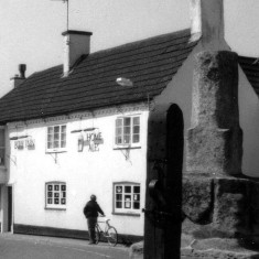 The Bull from The Cross 1989