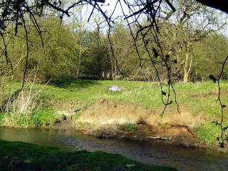 Supra On the Banks of the Devon
