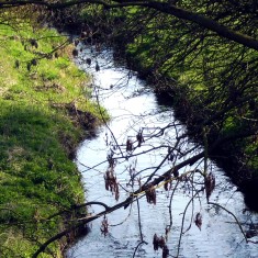Supra Looking down from the bridge on the old railway track