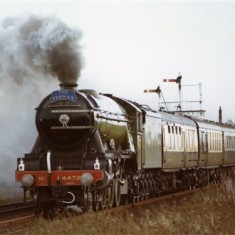 Flying_Scotsmn156 Flying Scotsman@Orston Crossing