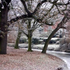 Frost_Dec2010_10_frozen The frozen River Devon