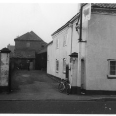 JB_Photos_114 Bull Yard - 1950's