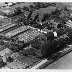 JB_Photos_aerial_123 Howitt's Nursery - 1950's