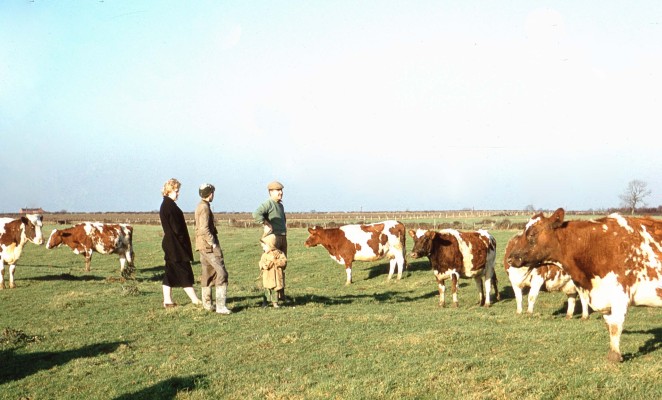 A 1950s picture of farmer Jerry Firth (R), Michael Bradshaw and Angela Bradshaw, and a young girl, with Jericho Farm (James Lodge) on the left of the horizon.