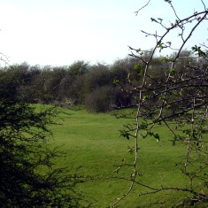 The fields here have traces of ridge and furrow, or, as here, lumps and bumps which may be evidence of dwellings deserted in the Medieval period.
