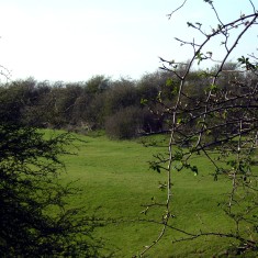 Supra The fields here have traces of ridge and furrow, or, as here, lumps and bumps which may be evidence of dwellings deserted in the Medieval period.