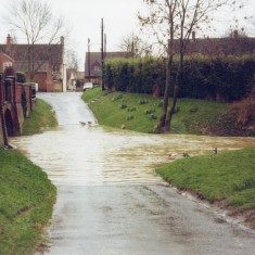 The Ford Today