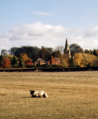 Muston_church_in_distance_Photograph_NJF1 Muston from the Fields