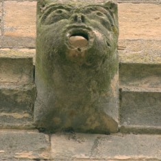 Gargoyle on the south face of the tower.