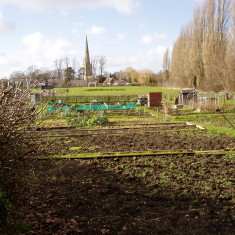 OLYMPUS DIGITAL CAMERA Washdyke Bridge Allotments
