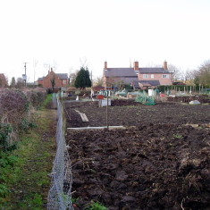 OLYMPUS DIGITAL CAMERA Rutland Lane Allotments