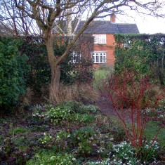 OLYMPUS DIGITAL CAMERA A Rather Special Garden