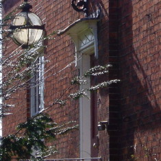 P3060110 High Street