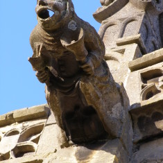 Gargoyles and Grotesques of St. Mary's