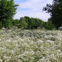 Spring, Summer, Autumn, Winter