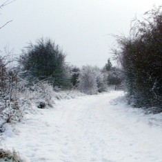 The SINC in Winter