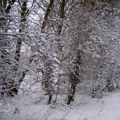 The SINC in Winter
