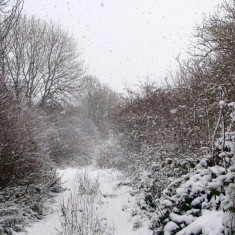 The SINC in Winter