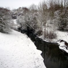 The SINC in Winter