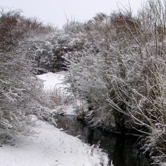 The SINC in Winter