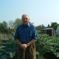 PearsonGeorge_PEG_retiredfarmer George Pearson, a retired farmer in his allotment at Bottesford.