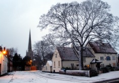 A Winter Gallery