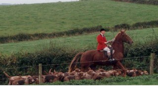 Hunting with the Monmouthshire in Wales
