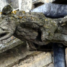 Gargoyles and Grotesques of St. Mary's
