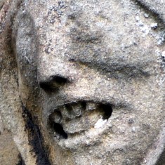Gargoyles and Grotesques of St. Mary's