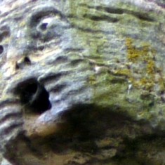 Gargoyles and Grotesques of St. Mary's