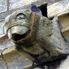 Gargoyles and Grotesques of St. Mary's