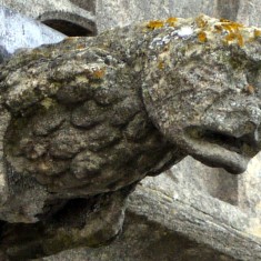 Gargoyles and Grotesques of St. Mary's
