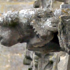 Gargoyles and Grotesques of St. Mary's