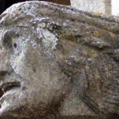 Gargoyles and Grotesques of St. Mary's