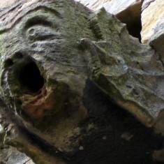 Gargoyles and Grotesques of St. Mary's