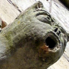 Gargoyles and Grotesques of St. Mary's