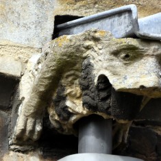 Gargoyles and Grotesques of St. Mary's