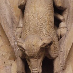 Gargoyles and Grotesques of St. Mary's