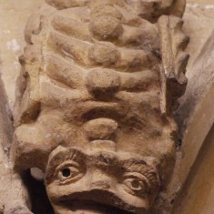 Gargoyles and Grotesques of St. Mary's