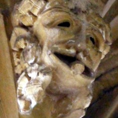 Gargoyles and Grotesques of St. Mary's