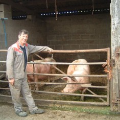 TaylorStan_andpigs_PEG Stan Taylor
