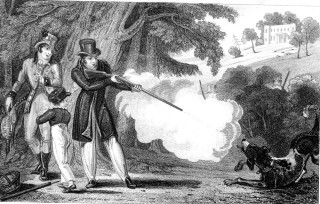 The Young Naturalist by H. Brook engraved by H. Adland