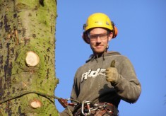 Tree felling on Normanton Lane